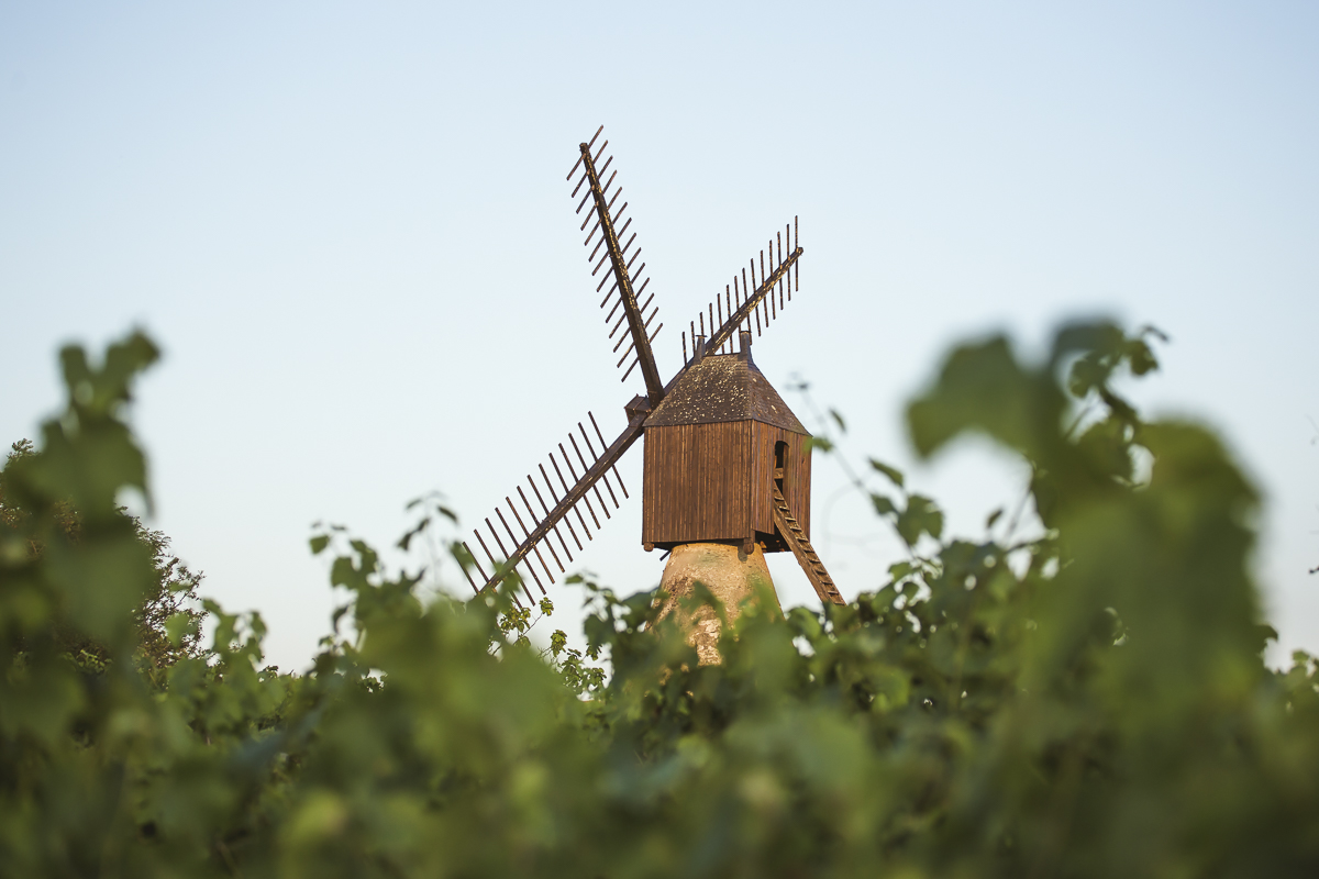 Moulin de la Petite Roche