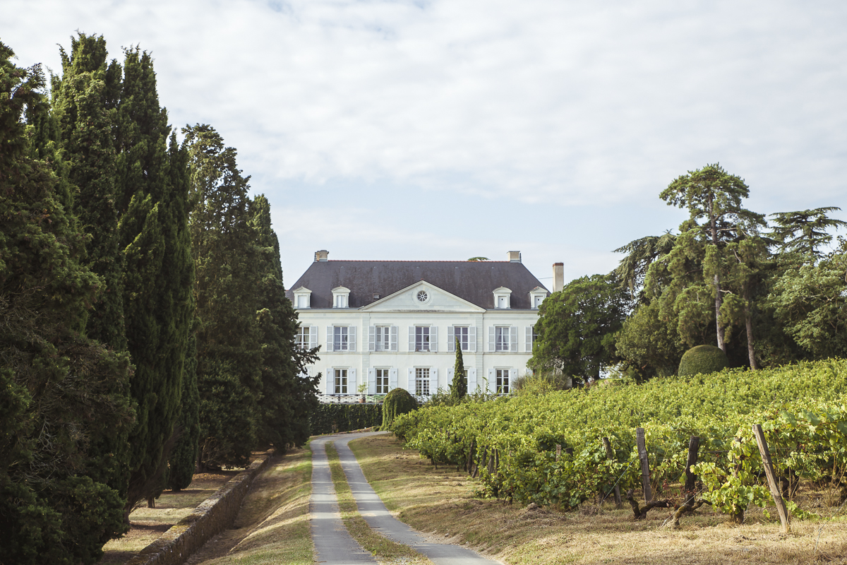 Château de la Roche au Moine