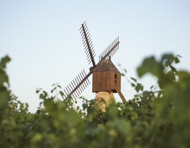 Moulin de la Petite Roche